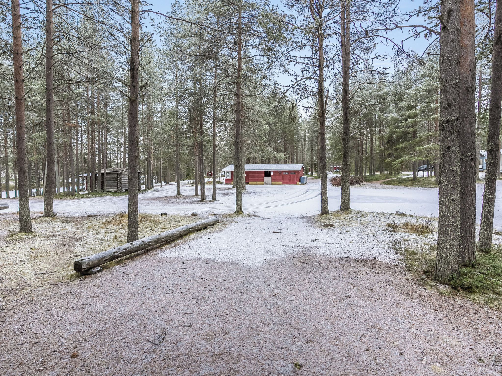 A cabin in a forested area with a gravel path leading to it.