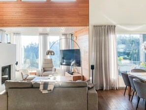 电视、DVD 播放器、立体声音响