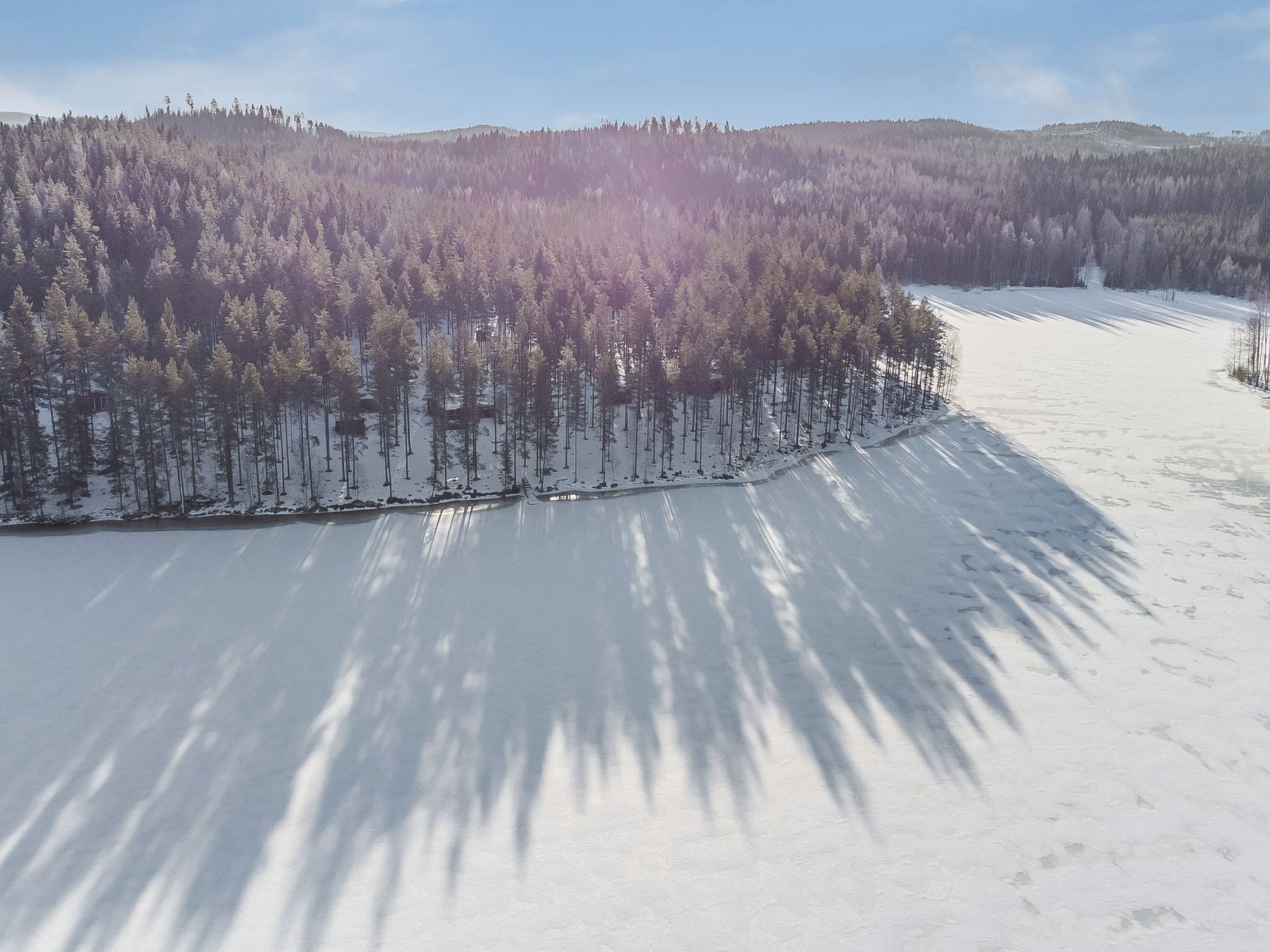 Un paysage enneigé, avec une forêt dense et un ciel dégagé.