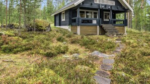 Eksteriør