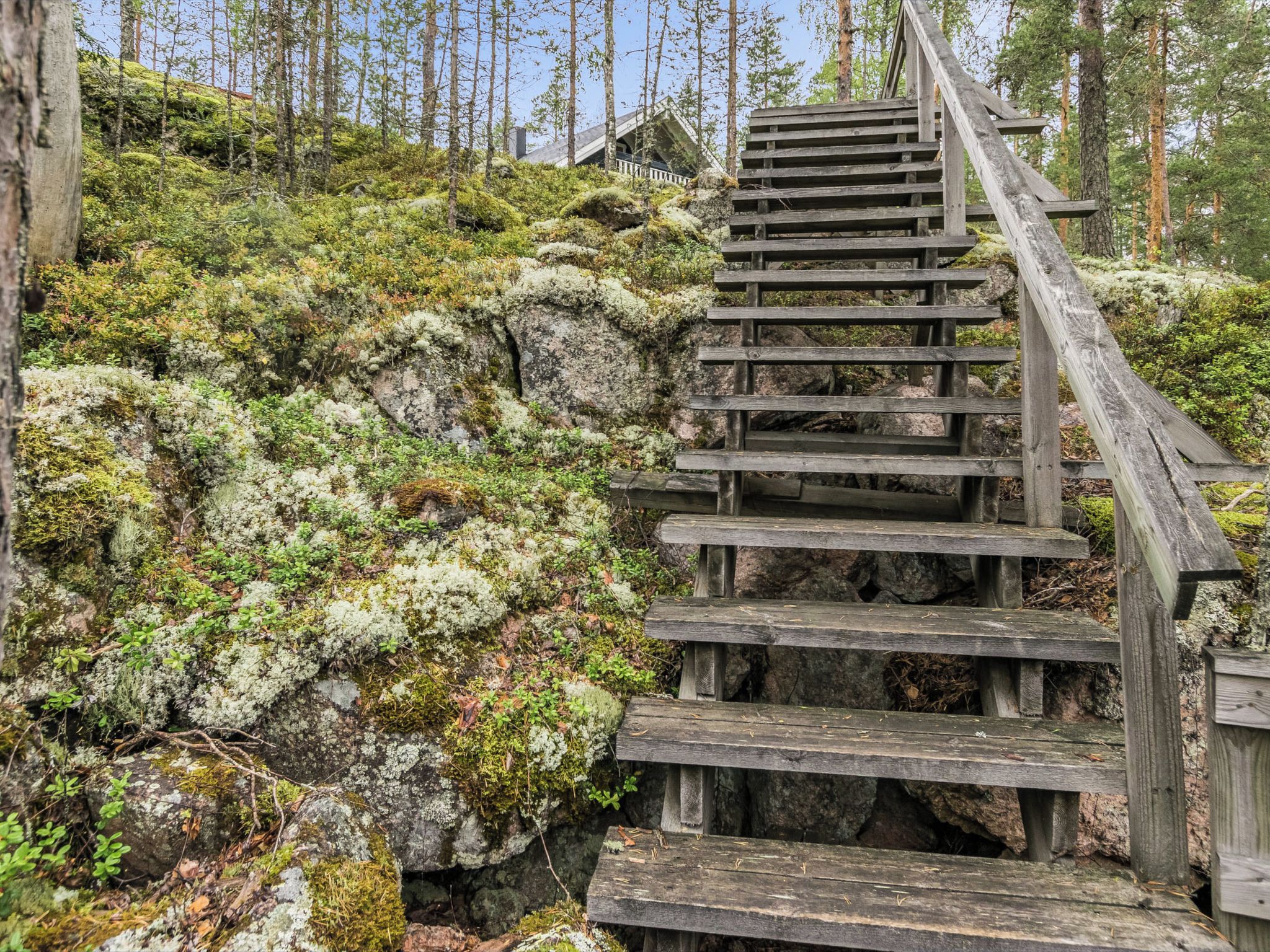 Un escalier en bois menant vers le haut d’une pente recouverte de mousse, dans une zone boisée.