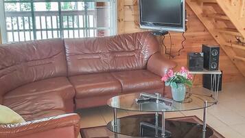 Fernseher, DVD-Player