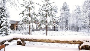 Ein mit Schnee bedecktes Holzhaus mit einer Holztür, umgeben von schneebedeckten Bäumen.
