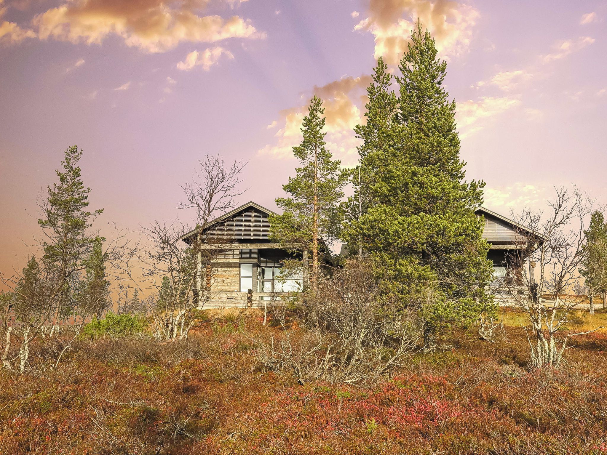Une cabane au toit en pente, entourée d’une forêt dense et d’un feuillage automnal.