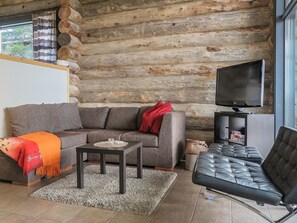 Fernseher, DVD-Player