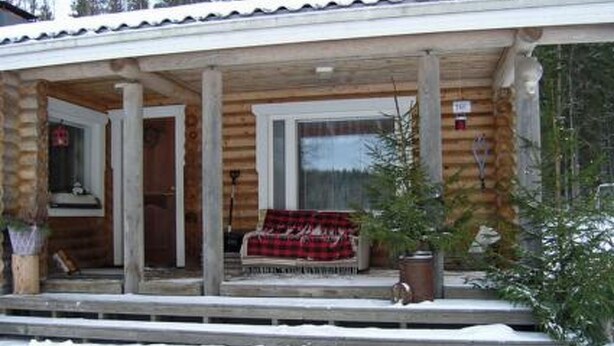 Une cabane en bois avec une véranda, un banc et un pot de fleurs.