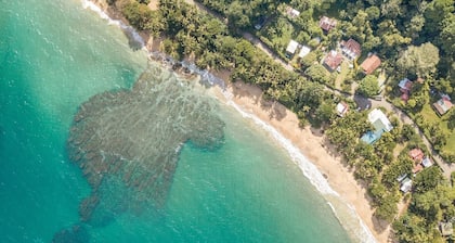 Casa Violeta Beachside Paradise!