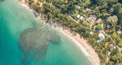Casa Violeta Beachside Paradise!