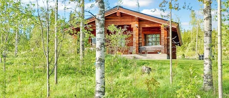 A cabin with a porch and a covered outdoor seating area, surrounded by birch trees and a grassy field.