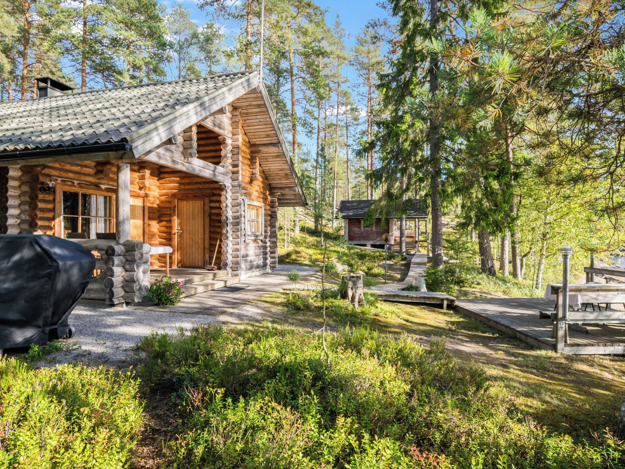Hirsimökki, jossa on kuisti, ja sen ympärillä on tiheä metsä.