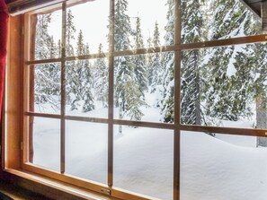 A window with a view of snow-covered trees.