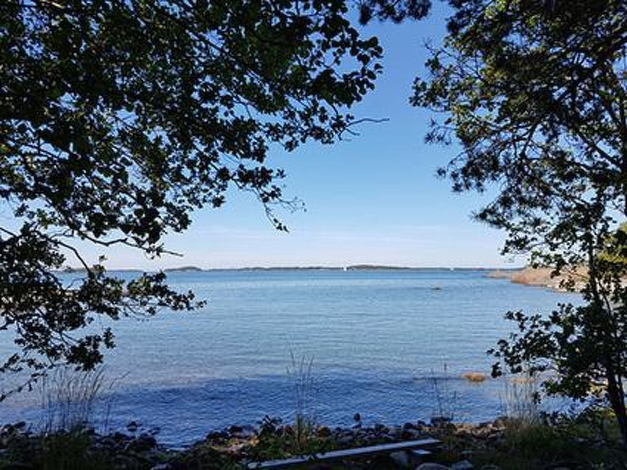 A serene lakeside view with trees framing the water, a distant shoreline, and a clear sky.