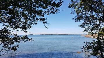 A serene lakeside view with trees framing the water, a distant shoreline, and a clear sky.