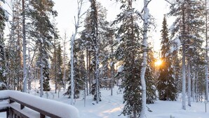 A snow-covered forest with a wooden bench and a mailbox. - Tervakko by Interhome (Sodankylä)