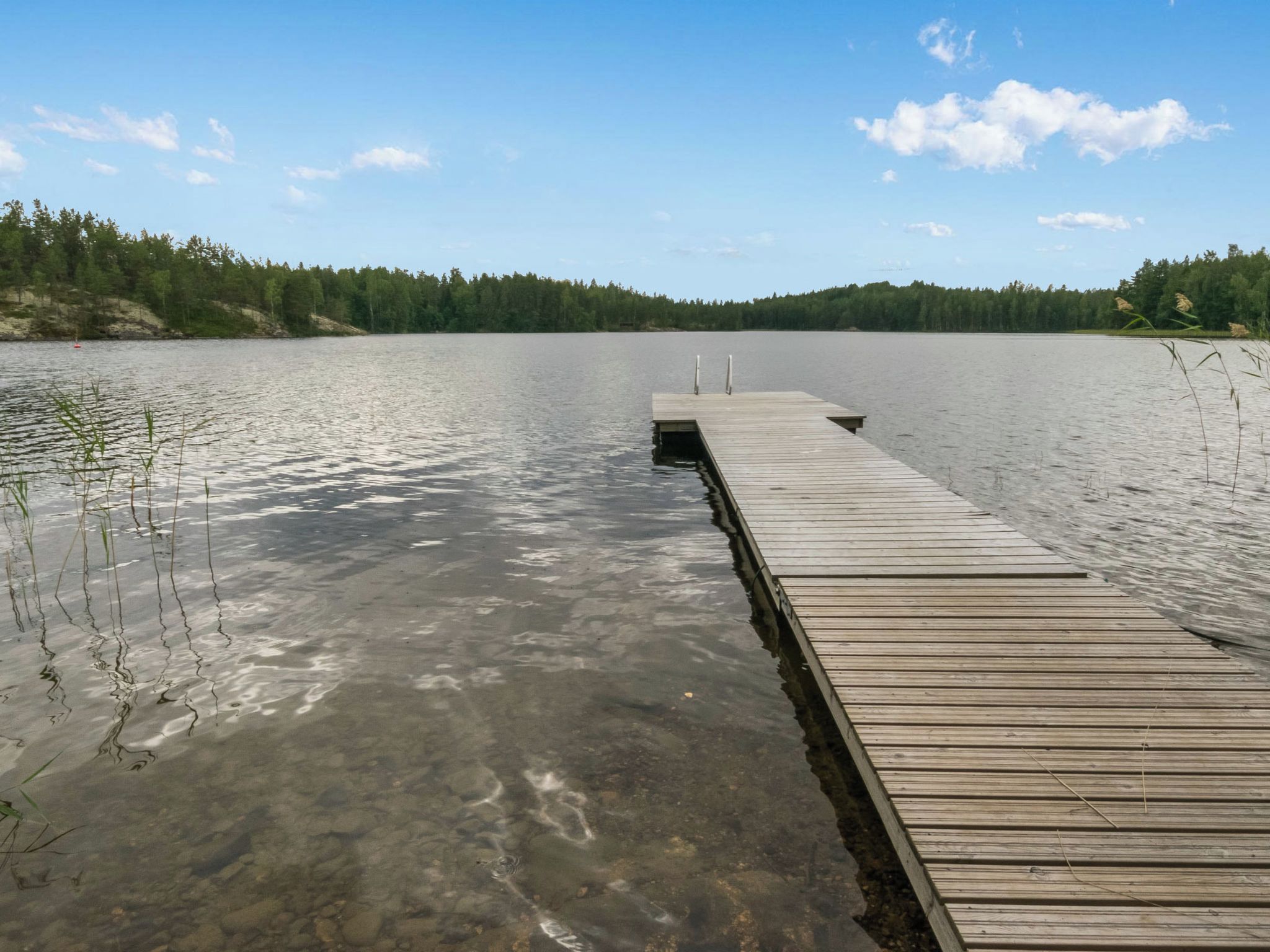 Een houten steiger die uitsteekt in een rustig meer met helder water, omgeven door een bebost oever.