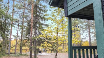 Een chalet met veranda, omringd door hoge bomen en een heldere lucht.
