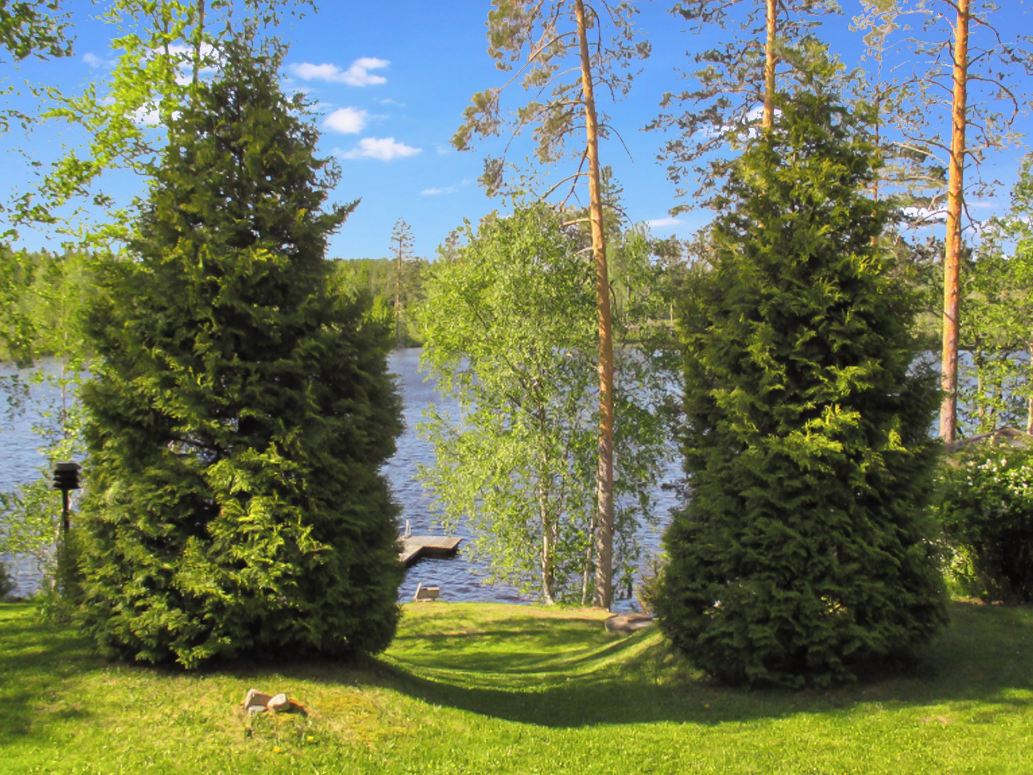 A lakeside view with two prominent evergreen trees, a grassy area, and a dock extending into the water.