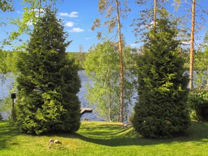 A lakeside view with two prominent evergreen trees, a grassy area, and a dock extending into the water.