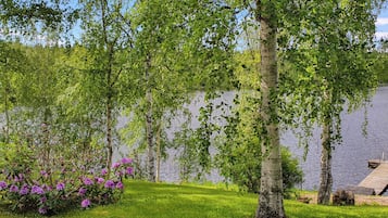 En fredfyldt have ved søen med birketræer, en træbro og lilla blomster.
