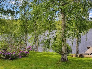 A serene lakeside garden with birch trees, a wooden dock, and purple flowers. - Rinne-expertti by Interhome (Ruokolahti)