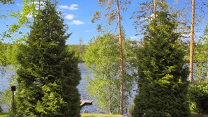 A serene lakeside setting with tall trees and a grassy area. - Rinne-expertti by Interhome (Ruokolahti)