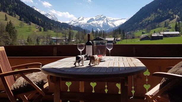 Una mesa de madera con una botella, dos vasos, un perro y una vista de montañas nevadas.