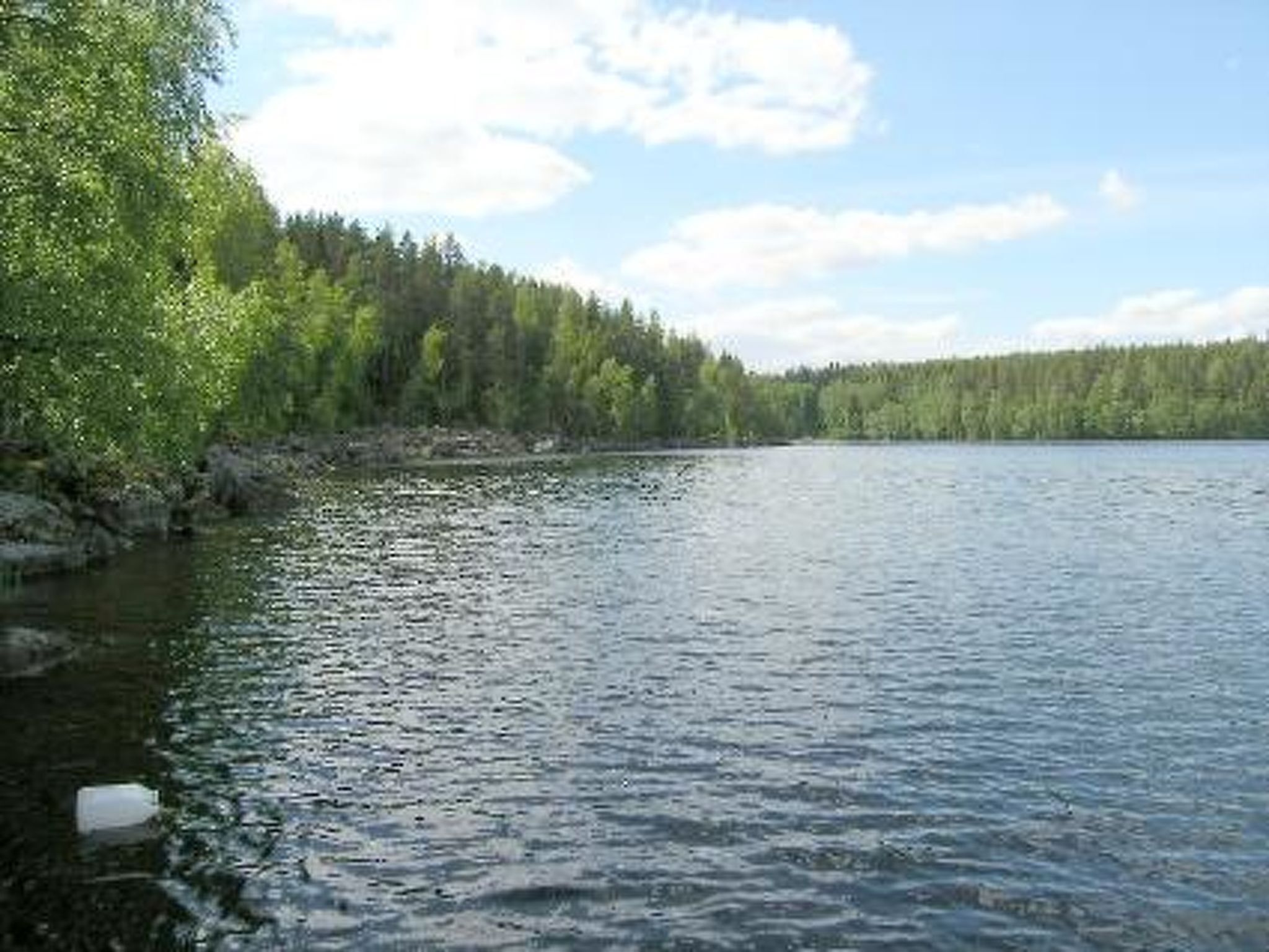 En stilla sjö med en skogbeklädd strand och en klar himmel.