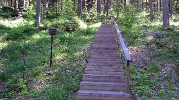 Ărea da propriedade