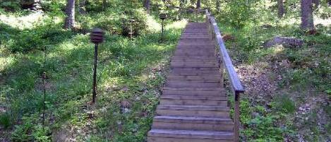 A wooden staircase leading into a forested area.
