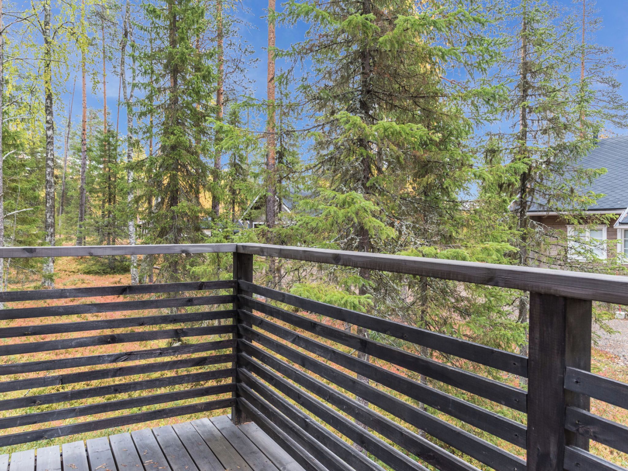Eine Holzterrasse mit Geländer, mit Blick auf ein bewaldetes Gebiet mit hohen Bäumen.