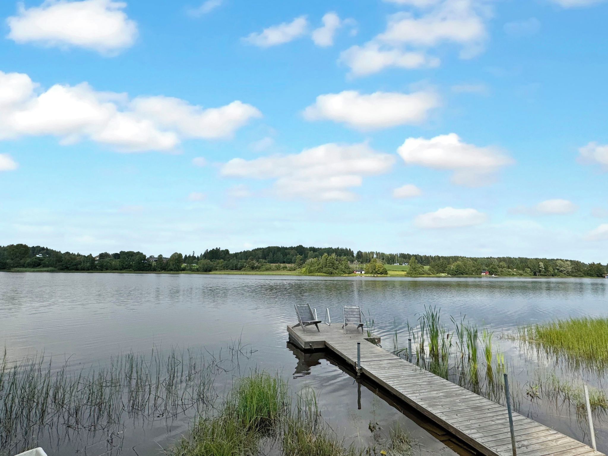 A calm lake with a wooden dock extending into the water, surrounded by greenery and a clear sky.
