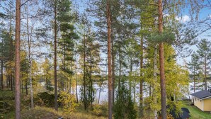 A forested area with tall trees and a small cabin.