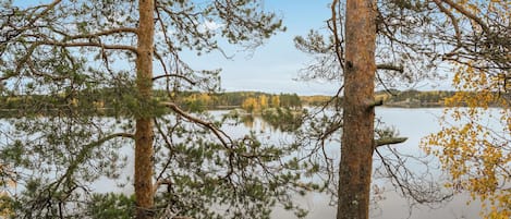 Un lac paisible, entouré d’arbres aux feuilles d’automne.
