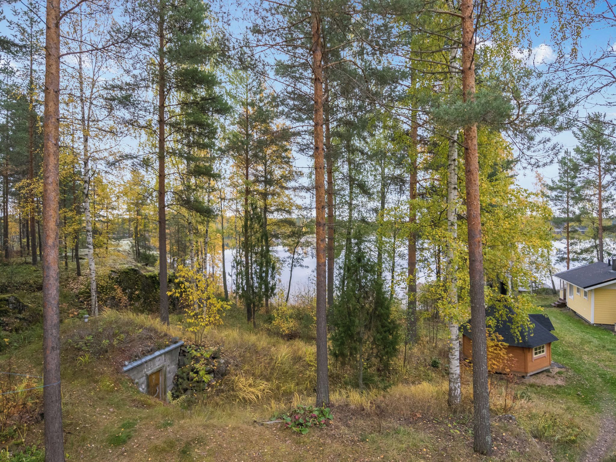 Ein bewaldetes Gebiet mit einer kleinen Holzhütte und einem Haus am See.