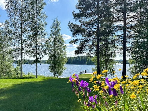 Une vue sur le lac, avec de grands arbres, une zone herbeuse et des fleurs violettes et jaunes.