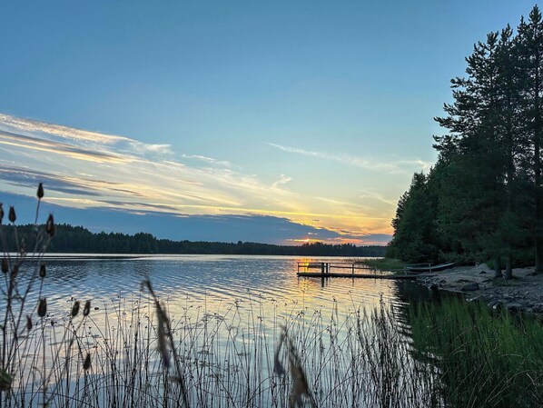 A calm lake with a wooden dock extending into the water, surrounded by dense forest and reeds.