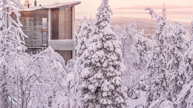 Une cabane en bois entourée d’arbres couverts de neige.