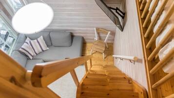 电视、DVD 播放器