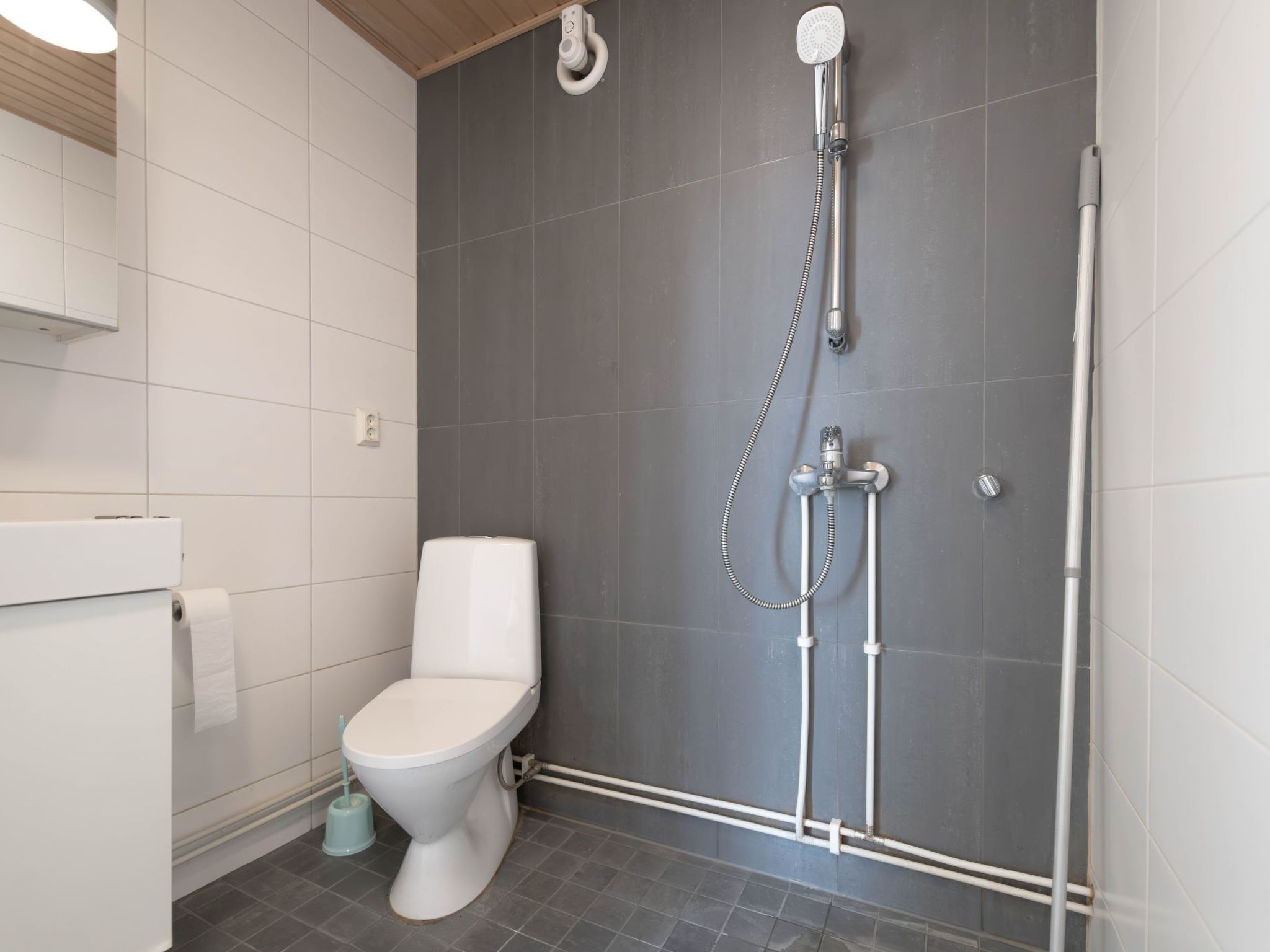 A modern bathroom with a toilet, a shower with a handheld showerhead, and a toilet paper holder.