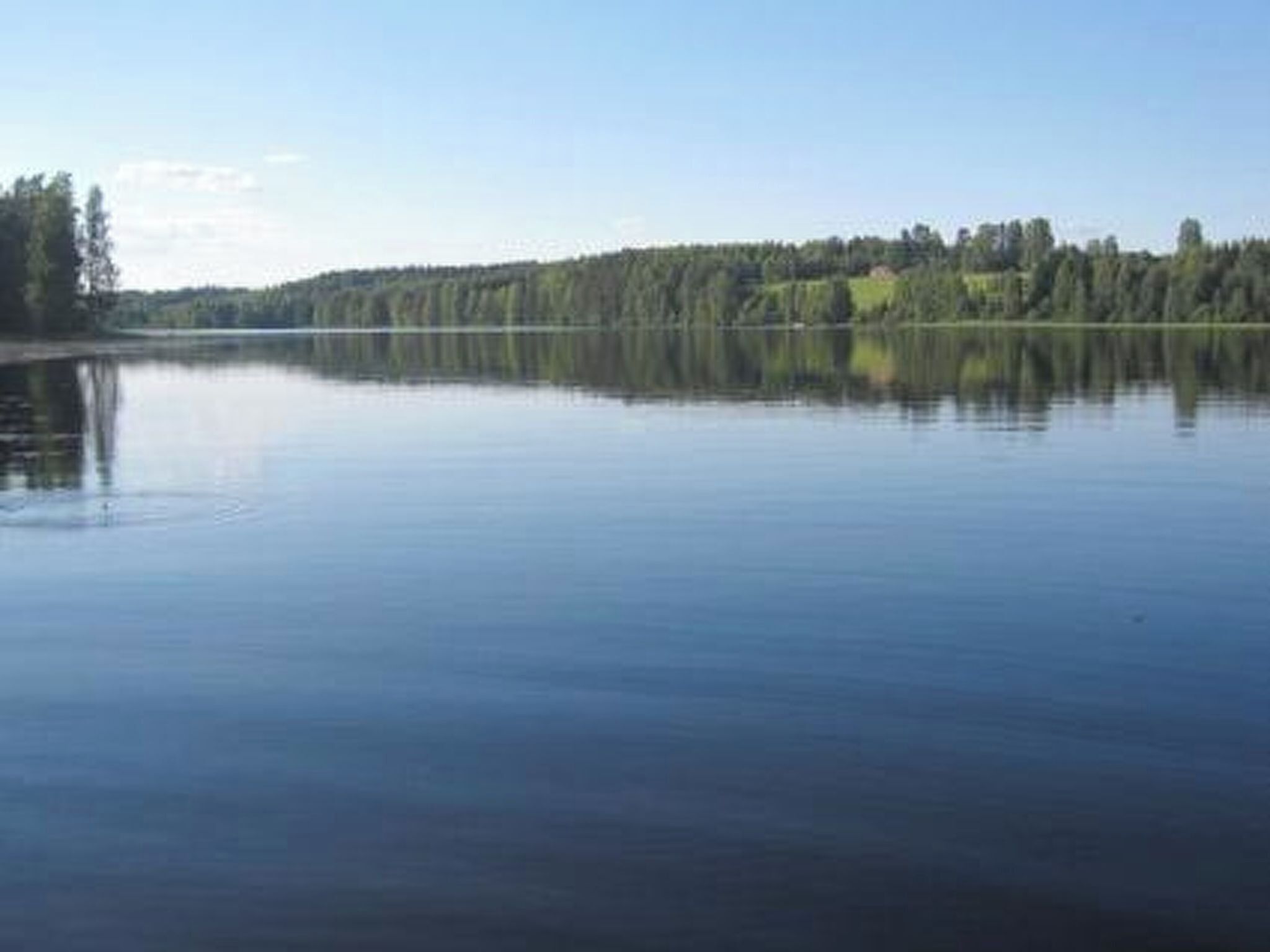 Ein ruhiger See mit bewaldeter Uferlinie.