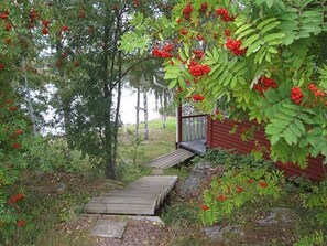 Um deck de madeira leva a uma cabana vermelha, rodeada por vegetação exuberante e frutos vermelhos.