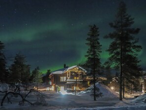 A log cabin with a snow-covered roof, surrounded by evergreen trees, under a night sky with visible stars.