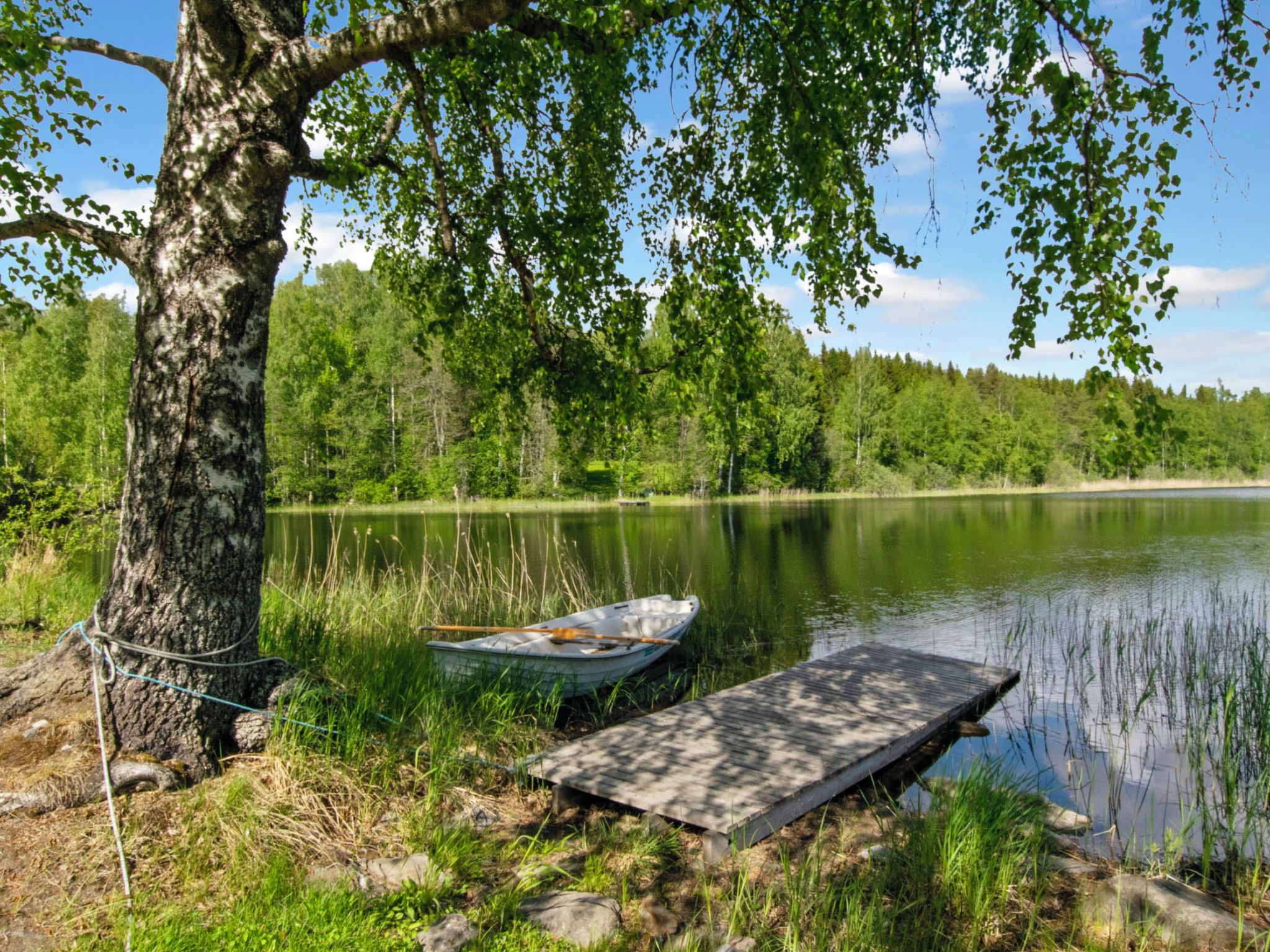 A calm lake with a dock and a boat, surrounded by dense greenery and trees.
