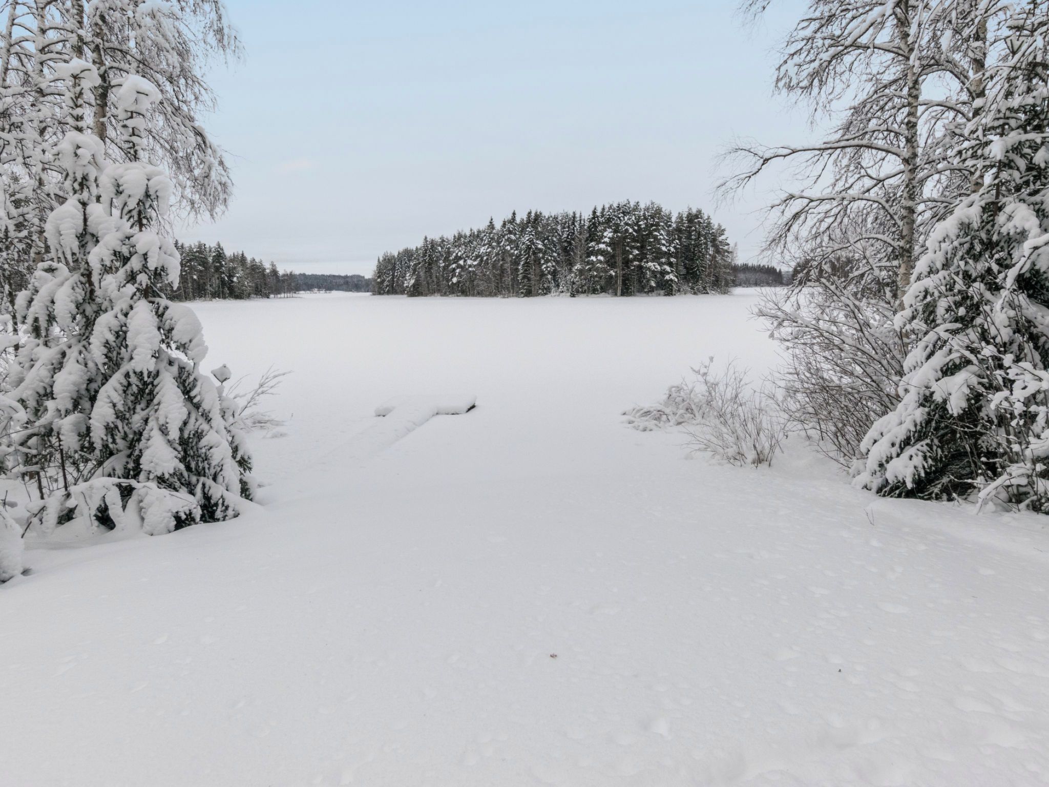 A snowy landscape with a clear path leading through a forest.