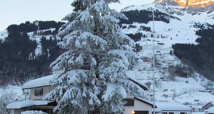 Chalet Eien by Interhome