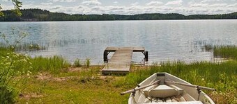 Keltavuokko by Interhome