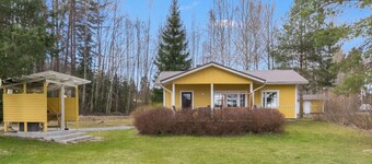 Keltavuokko by Interhome
