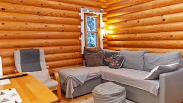 TV, peis og DVD-spiller