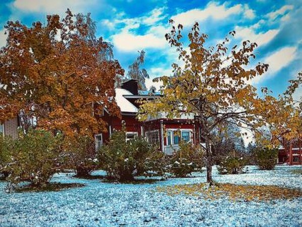 A house surrounded by trees and snow.