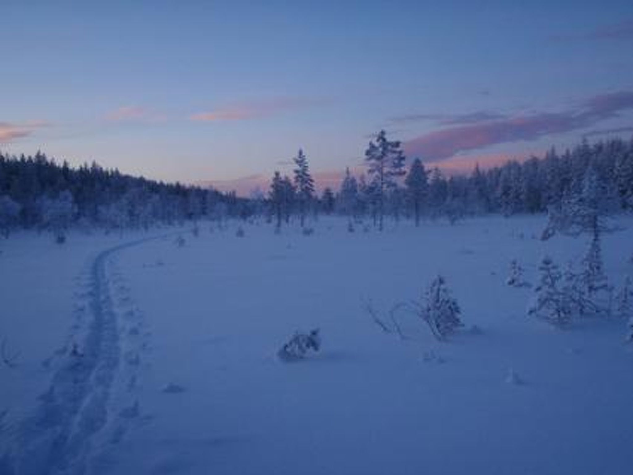 Lumipeitteinen maisema, jossa on selkeä polku ja harvakseltaan kasvavia puita.